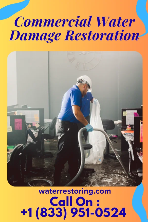 Commercial Water Damage Restoration in Menahga, MN