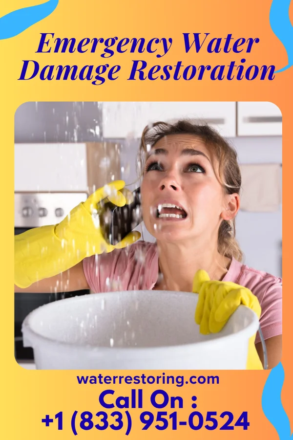 Emergency Water Damage Restoration in Menahga, MN