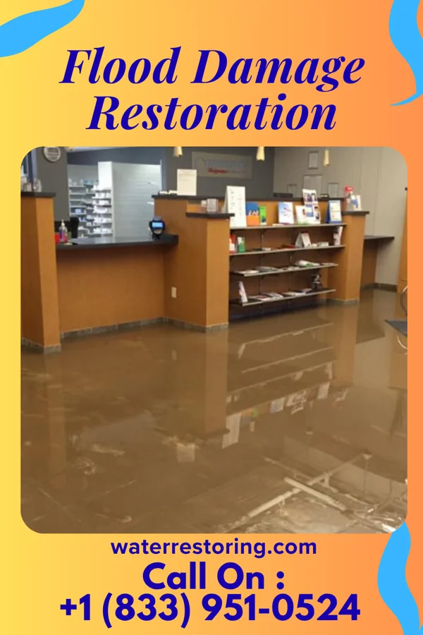 Flood Damage Restoration in Menahga, MN